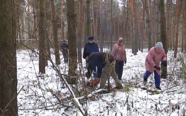 Беспокойные сердца избирателей Плотичкина